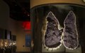 "Grape Jelly," the whimsical name of a featured exhibit in the Lyda Hill Gems and Minerals Hall at the Perot Museum of Nature and Science in Dallas, Texas LCCN2014633935.tif