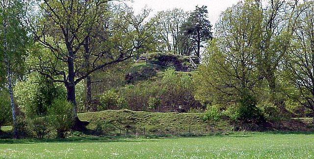 File:Svaneholm, ek.jpg - Wikimedia Commons