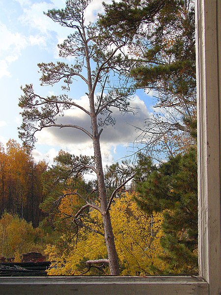 File:Затюменский парк 2008 - panoramio - Yima.jpg