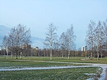 abedules en el parque