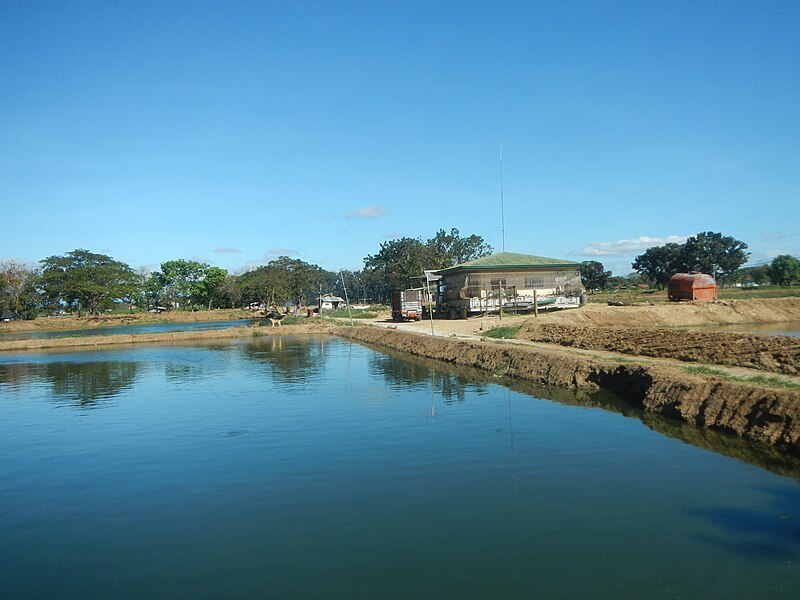 File:09367jfFish ponds in Malamig, Bustos, Bulacanfvf 08.jpg