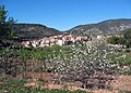 Vista xeneral (meridional) de Puebla de San Miguel (Valencia), dende'l camín de Sesga, añu 2015..