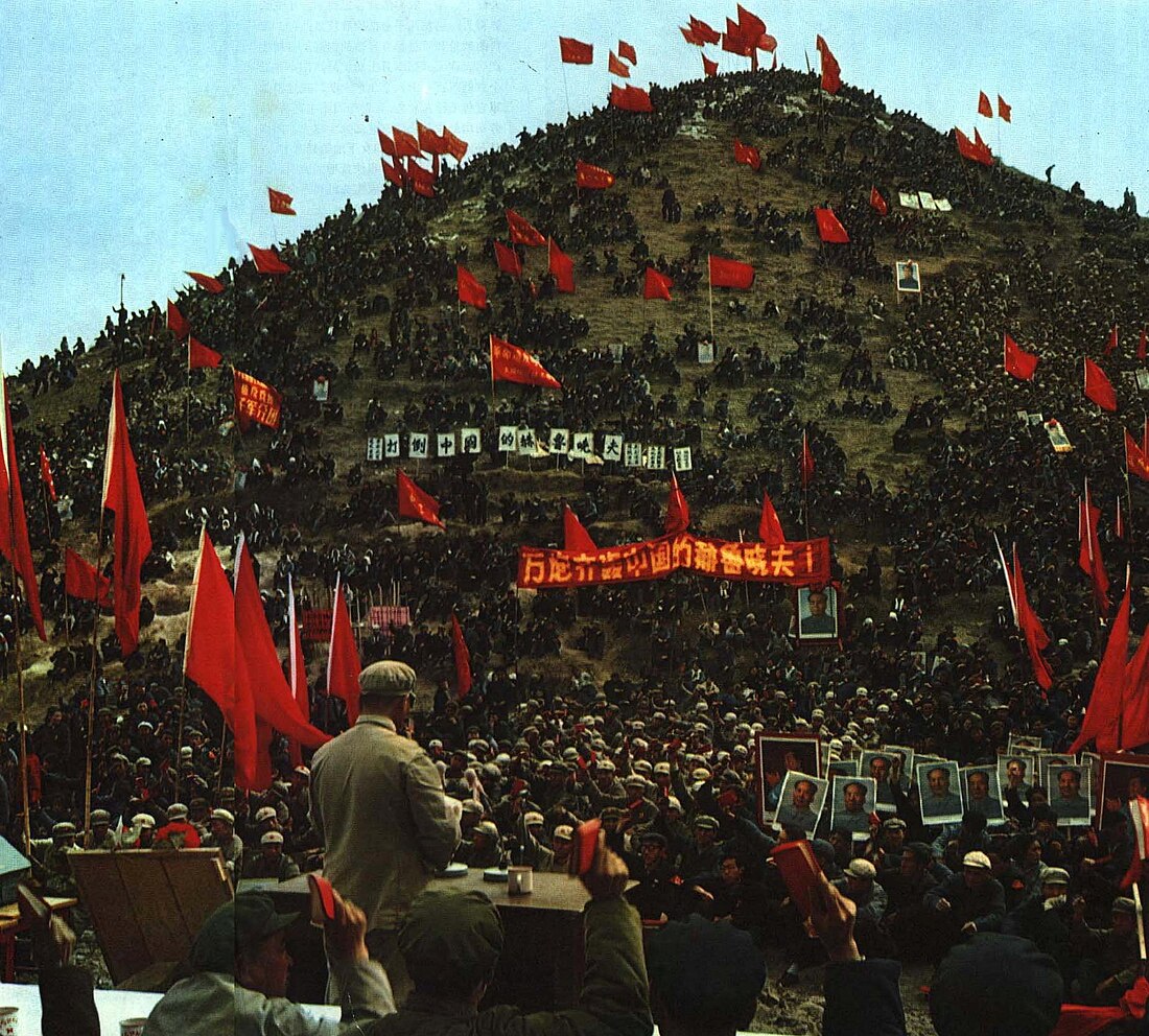 File:1967-07 1967年 批评刘少奇的群众会议.jpg