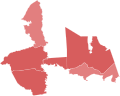 1996 TX-08 runoff election