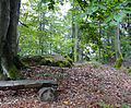 Nördlicher Holzturm der Turmstelle Wp 10/10 des Odenwaldlimes