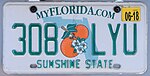 2018 Florida license plate 308 LYU.jpg