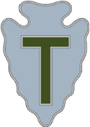 36th Infantry Division SSI