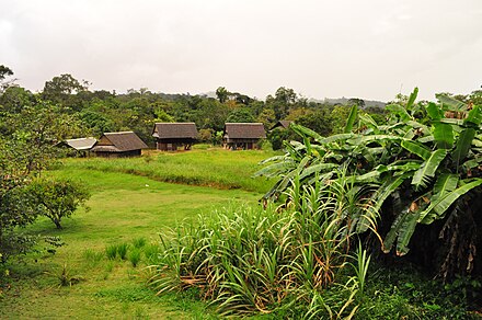 A village in the park