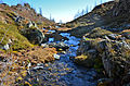 English: Within the first kilometer after the effluent from the Gurksee Deutsch: Am ersten Kilometer nach Ausfluss aus dem Gurksee