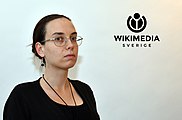 Alicia Strategiska datauppladdningar, Helpdesk, Kapacitetsbyggande, Mjukvaruutveckling