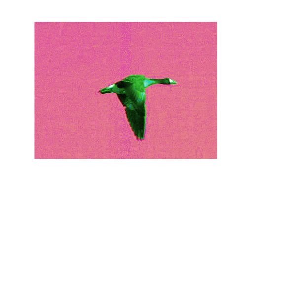 File:Alien bird.png