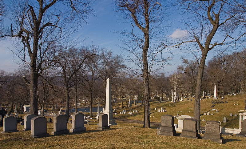 File:Allegheny Cemetery 2008 hills.jpg