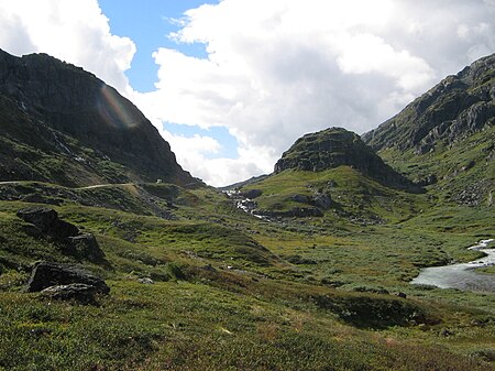 Tập_tin:Alpine_zone_with_dwarf_birch.jpg