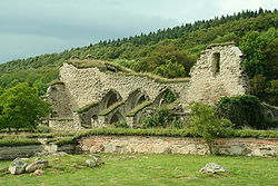 Ruine samostana Alvastra