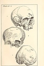 Thumbnail for File:Antiquities of the southern Indians, particularly of the Georgia tribes (1873) (14776977242).jpg