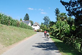 Entrée du village en venant de Lourdes