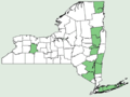 Asclepias amplexicaulis NY-dist-map.png