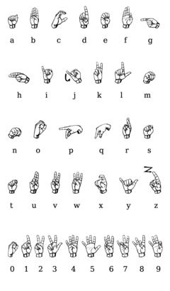 chart of letters in the American manual alphabet, with Latin script equivalents