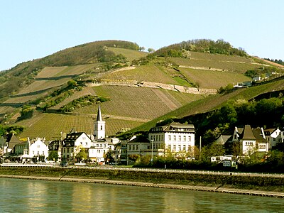 View from Rhine; Höllenberg Lage vineyards.