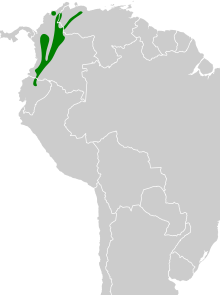 Aulacorhynchus albivitta map.svg