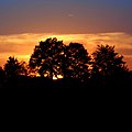 Autumn sunset - Flickr - Stiller Beobachter.jpg