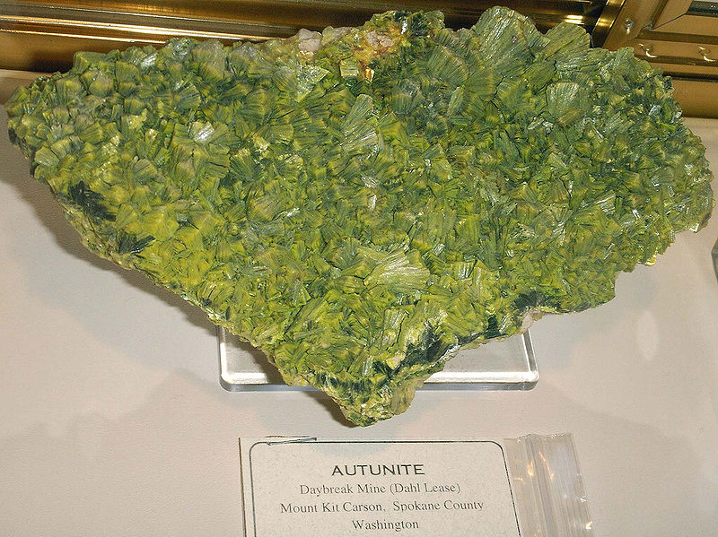 File:Autunite - Daybreak Mine - Washington.jpg