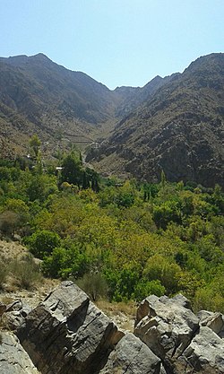 تصویری از باب ندان