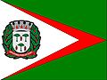 Bandeira Espirito Santo do Pinhal.jpg