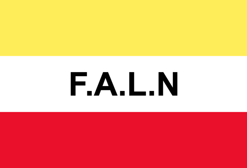 File:Bandera FALN simple.png