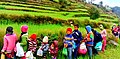 File:Beaut Nature Karanprayag uttarakhand, india.jpg