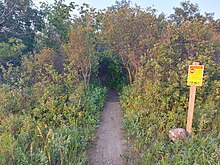 The end of a downhill biking trail