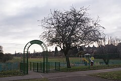 Bleak Hill Park - 29.01.2011.jpg