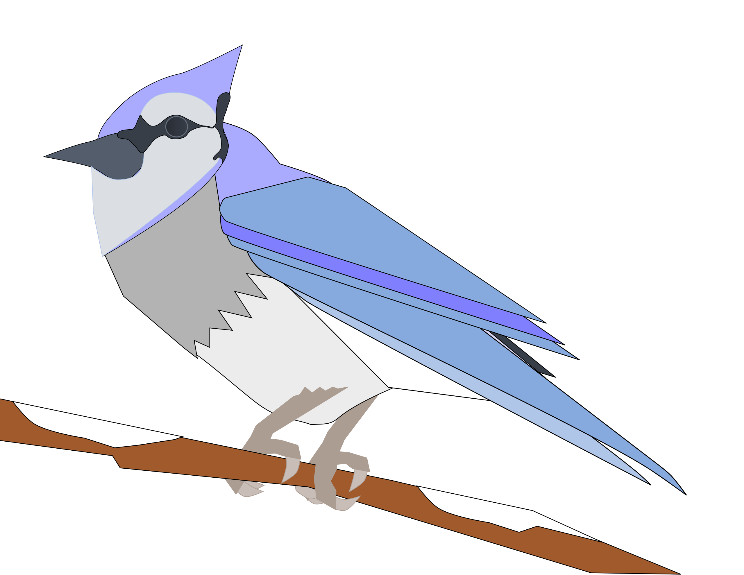 Animated Blue Jay Vector Images (over 240)