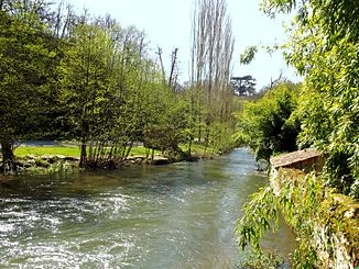 Die Boivre bei Vouneuil-sous-Biard