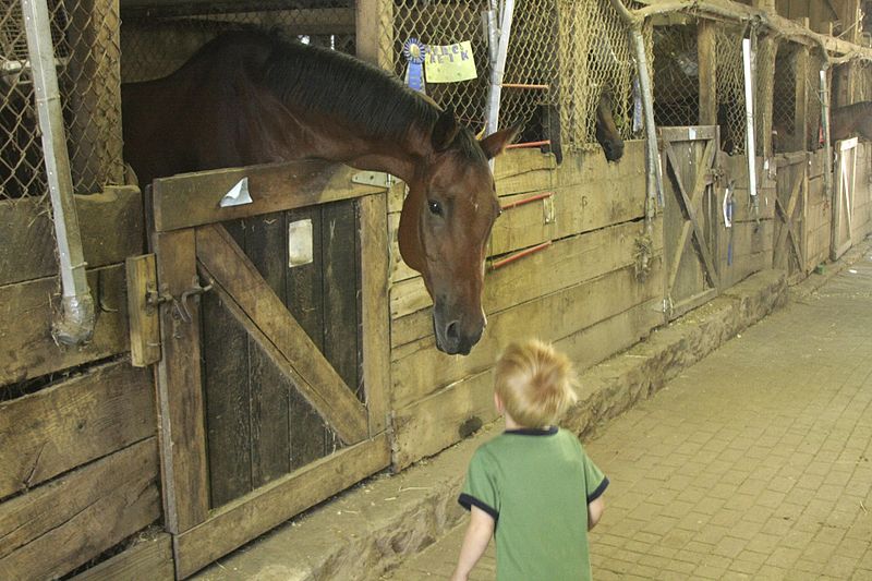 File:Boy and Horse.jpg