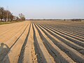 Fields near Bartoszowice, Poland