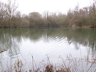 Bray Pit