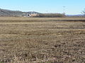 Brazeau Bottoms, Perry County, Missouri, Bottomland 1.jpg