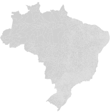 Brazil Municipalities.svg