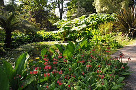 Teil des Pond and Bog Gardens