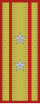 Burkinabe Army 1983 OF-4.svg