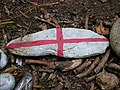 Rock snake created during the 2020 COVID-19 pandemic in Bursted Wood at Barnehurst.