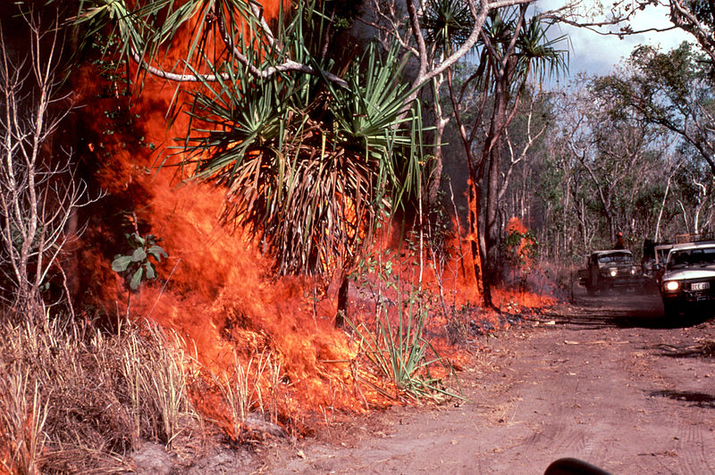 File:CSIRO ScienceImage 368 Deliberately Lit Top End Fire.jpg