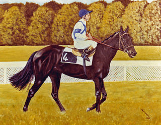 <span class="mw-page-title-main">Prix Hocquart</span> French Group 2 flat horse race