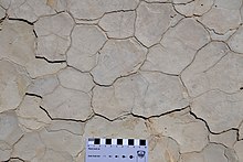 Carmel Formation mudcracks Jurassic.jpg