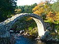 The bridge in autumn