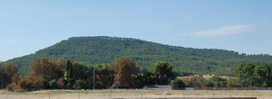 Cerro del Viso