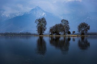 Char Chinar island in Dal Lake, Srinagar, Kashmir