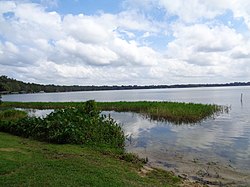 Cherry Lake, Florida.JPG