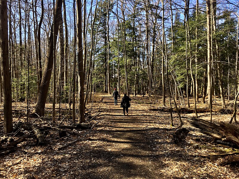 File:Chestnut Ridge Park, Orchard Park, New York - 20200420 - 01.jpg